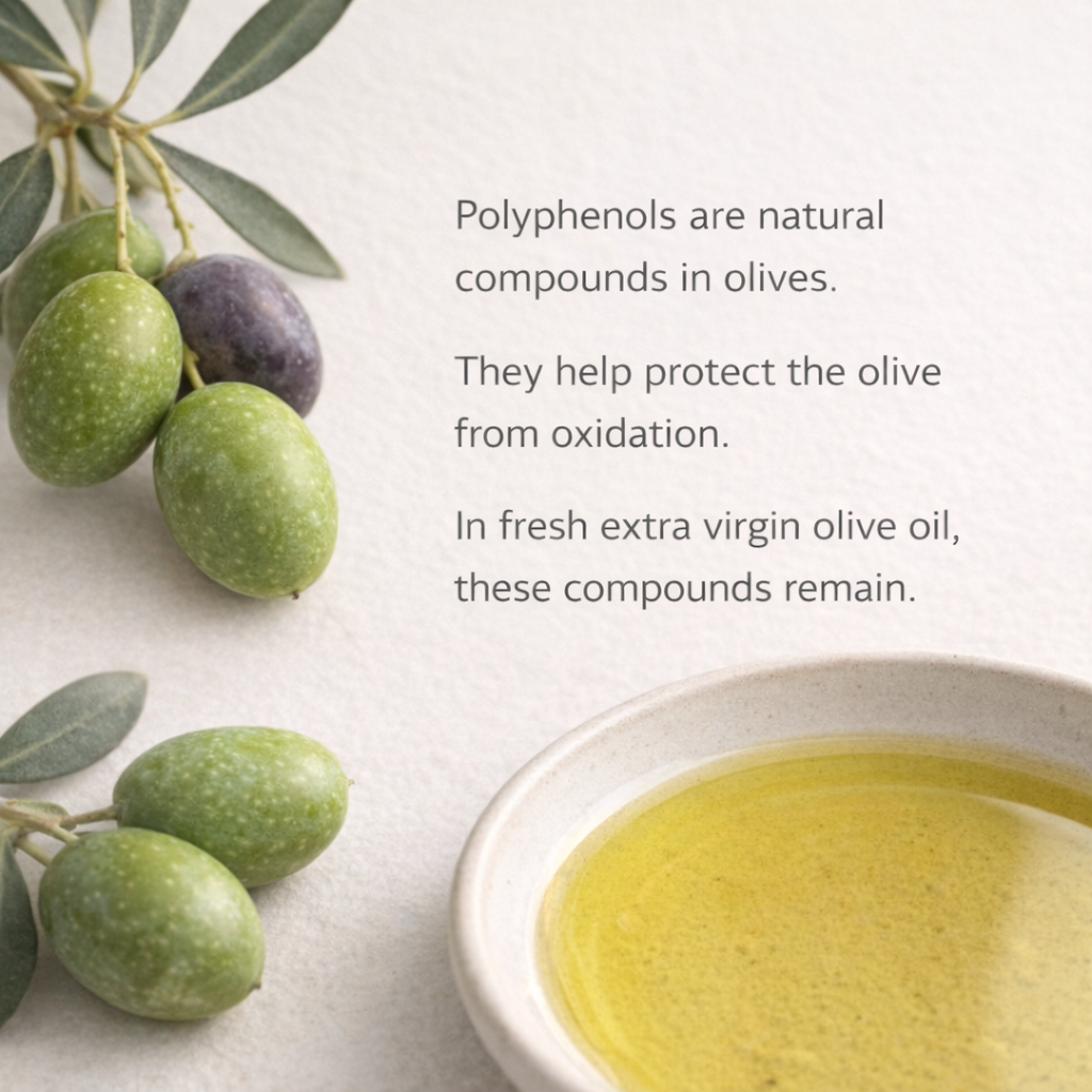 Educational explanation of polyphenols as natural compounds in olives that remain in fresh extra virgin olive oil.