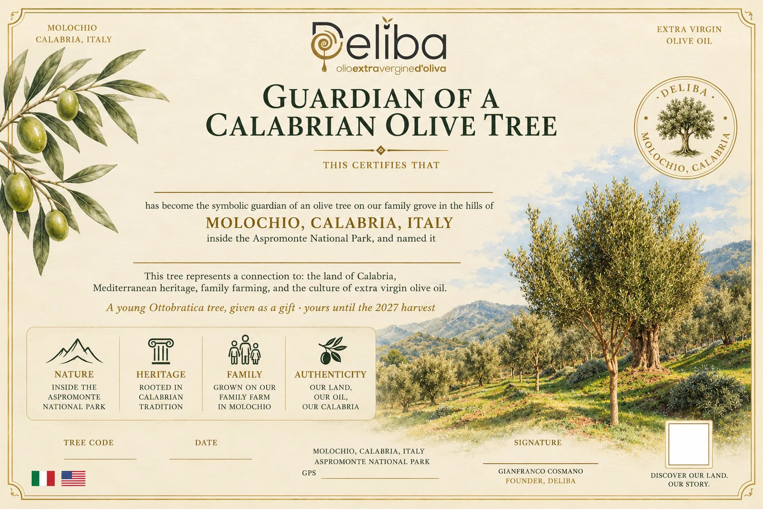 Illustrative digital certificate for Deliba Gift Adoption