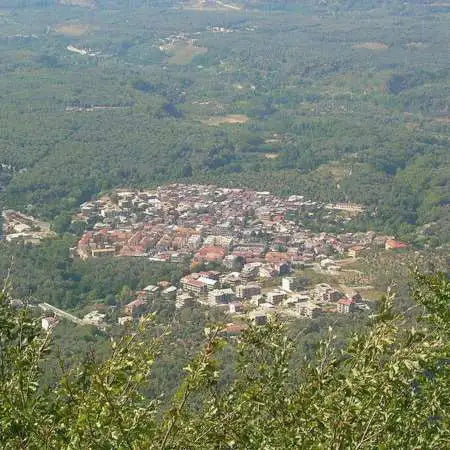 Molochio, Southern Italy: The Longevity Village Behind Our Olive Oil