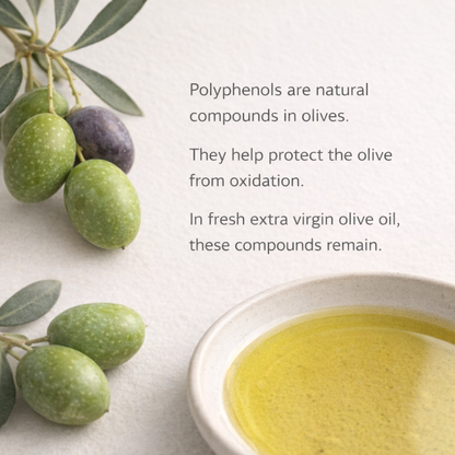Educational explanation of polyphenols as natural compounds in olives that remain in fresh extra virgin olive oil.