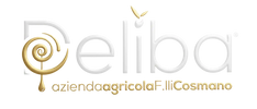 Deliba Olive Oil 