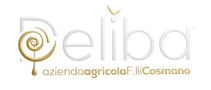 Deliba Olive Oil 
