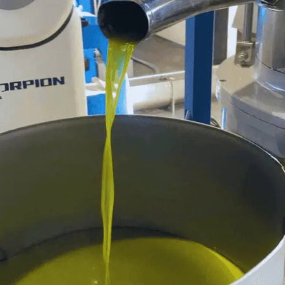 Deliba Olive Oil Premium Offer - 12 Bottles (6 Ottobratico + 6 Sinopolese) - Deliba