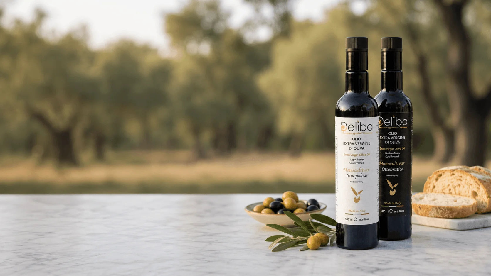 Deliba Ottobratico and Sinopolese extra virgin olive oil bottles with olives and bread in a Calabrian olive grove.