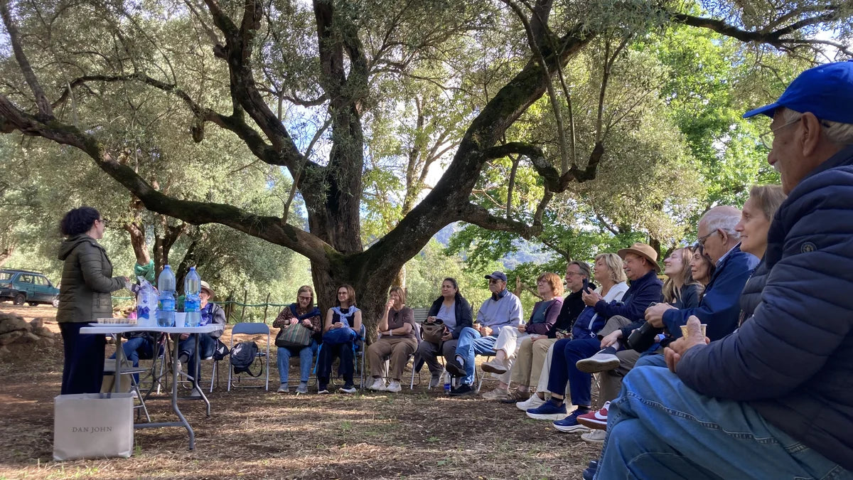 Group gathered under a century-old olive tree at the Deliba estate in Molochio, southern Italy